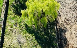 Casa individuala P+ M Giarmata, vatra satului 1496mp teren - Poză 17