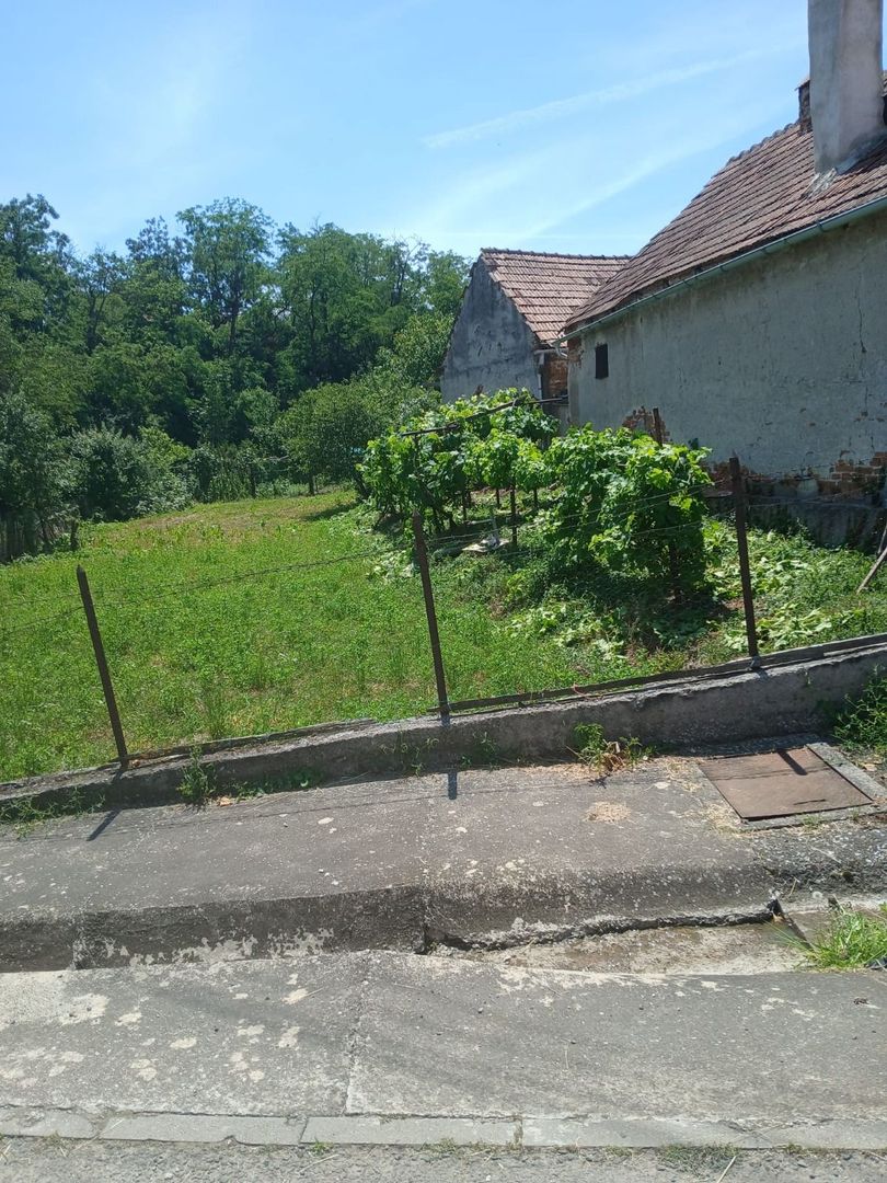 CASA DE VANZARE in TARTARIA - Poză 5