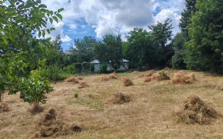 Teren intravilan de vanzare in Bucium, Iasi - 1014 mp - Poză 2