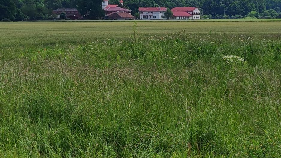 Parcele teren cu PUZ , P+1E+M, zona Manastire - Poză 1