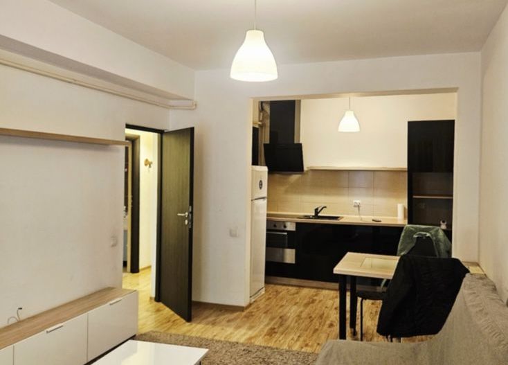 Apartament elegant, doua camere, Calea Mosilor - Poză 2