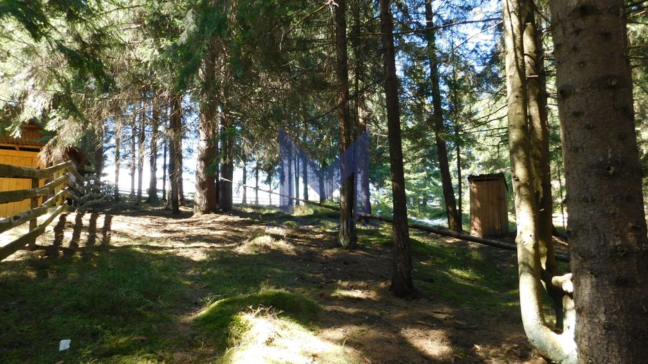 Casă de vacanta de vanzare, in Marisel, langa Cabana Motilor - Poză 18