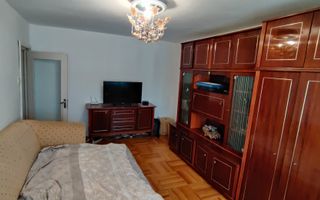 APARTAMENT 2 CAMERE LIPOVEI - Poză 11