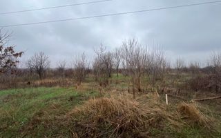 Teren la DN7 - ideal investitie (Benzinarie, spalatorie, hala, rezidential) - Poză 4