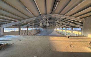 Hală de inchiriat, Medias - Poză 8