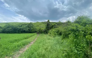 Domeniu 15.900 mp în Fințești | Casă + Investiție Dealu Mare - Poză 11