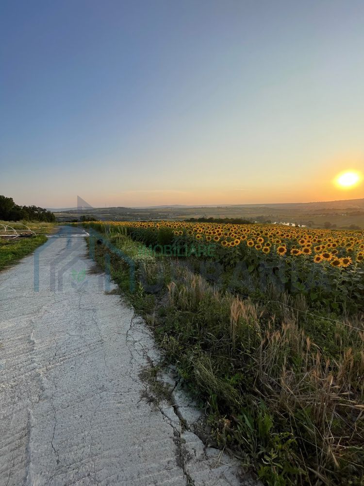 Teren intravilan ,Barnova ,Iași, 834 mp, priveliste panoramica deosebita,langa padure! - Poză 6