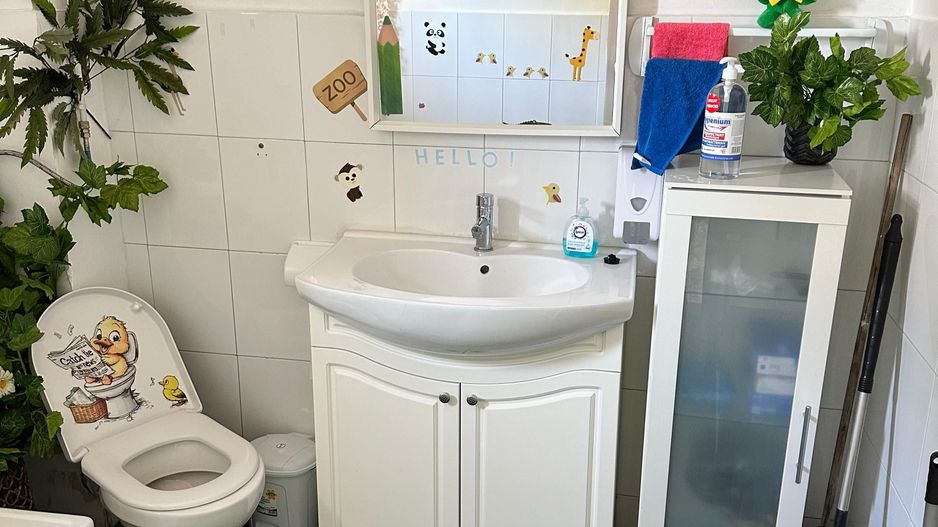 SPATIU COMERCIAL DOMENII, LOC PARCARE, CENTRALA, MOBILAT/UTILAT, CURTE - Poză 8