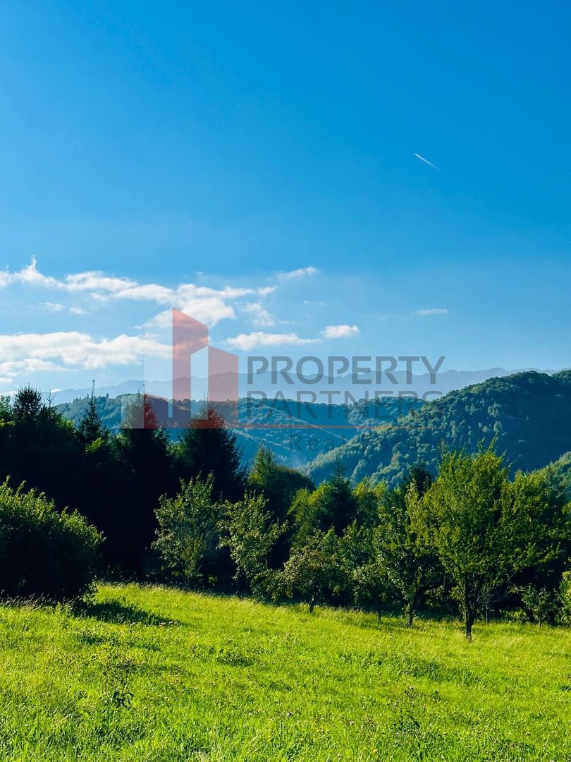 Teren intravilan Bran 2.772 mp | Vedere Piatra Craiului | Potrivit pentru cabane - Poză 12