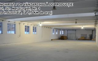 Hala productie, zona Industriala, Vaslui - Poză 1