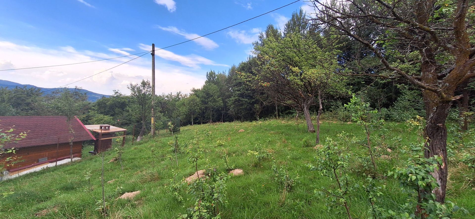 Bran-Predelut doua parcele de 2000+3000mp pret 25 euro/mp - Poză 7