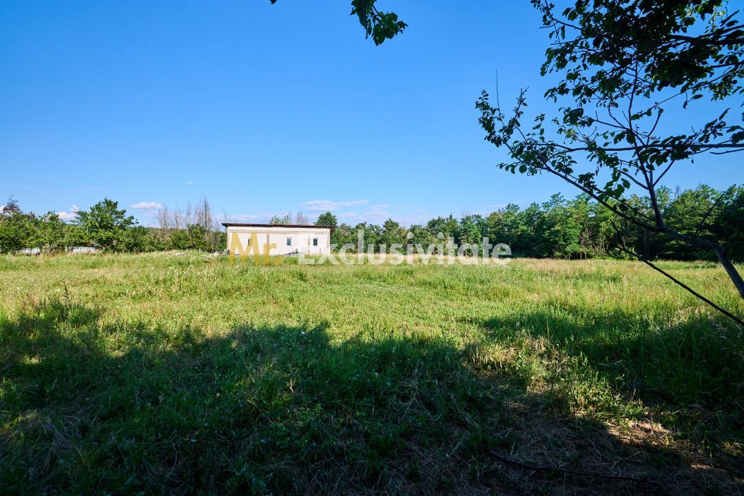 Teren Intravilan 1100 mp + Anexă 120 mp - Budeasa, Calotesti! - Poză 11