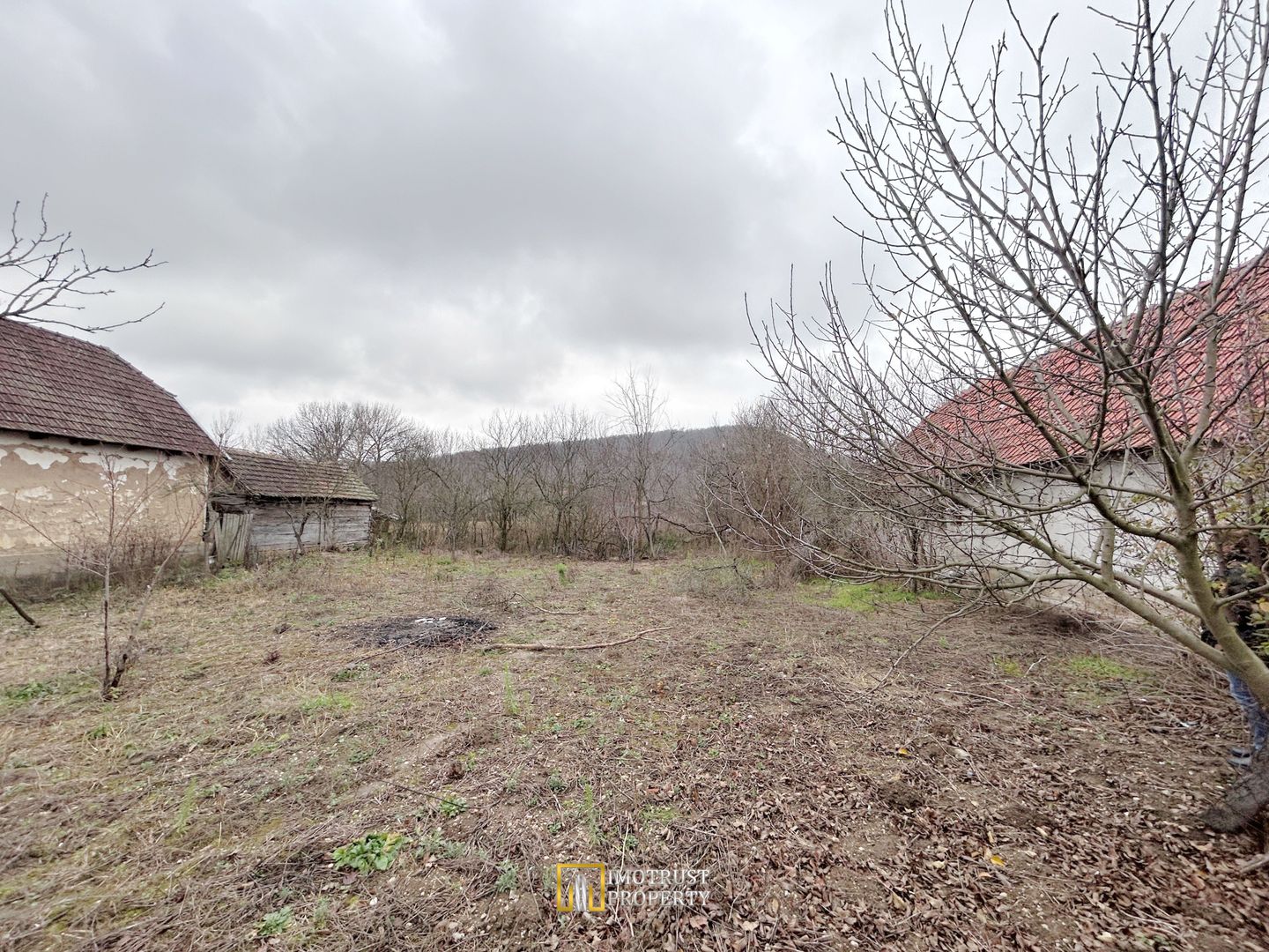 Teren cu casa batraneasca de vanzare Taut, Arad - Poză 4