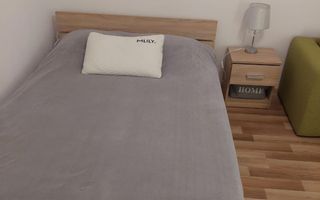 Garsoniera zona Costin Georgian - Lucretiu Patrascanu - Poză 10