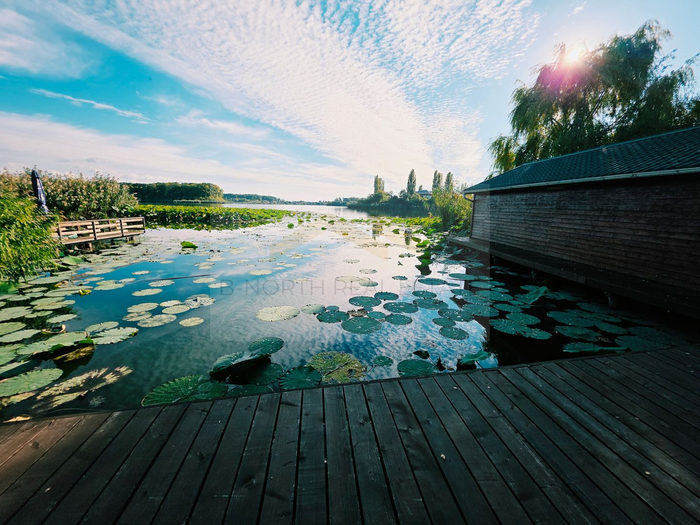 Vilă cu ponton privat la Lacul Snagov – casă de oaspeți, cramă, 1.768 mp - Poză 3