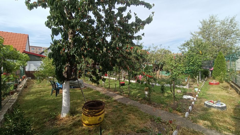Casă de vanzare cu 4 camere 107 mpu pivnita anexe curte gradina Sebes - Poză 16