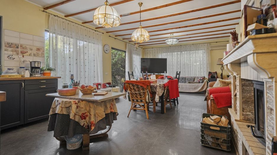 Comision 0% 2 case Vila + Spatiu Comercial + Curte Proprie - Poză 3