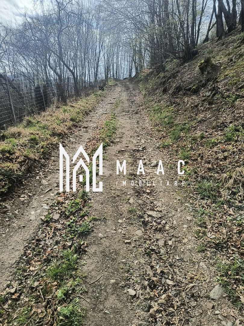 Un colt de rai in Apuseni I viața ca pe vremuri - Poză 4