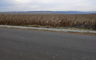 Teren 4,000mp intravilan | Șura Mică - Poză 1