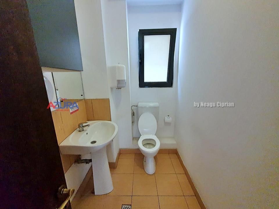 Inchiriere spatiu birouri Exercitiu-Teilor Pitesti - Poză 8