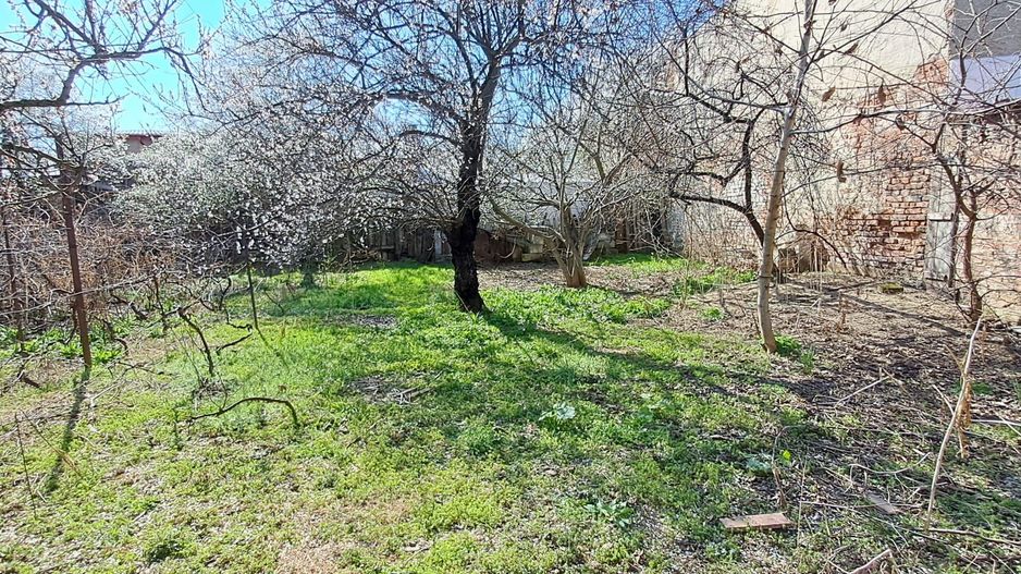 Calea Calarasi - Agricultori, 569 mp, pretabil investitie, comision 0% - Poză 3