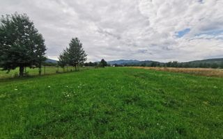 Teren Intravilan | 2.200 mp | Vicovu de Sus - Poză 10