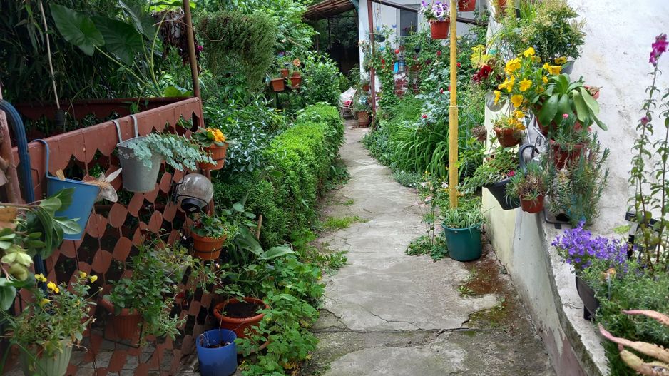 brasadas.com vinde casa 3 cam 135mp zona ULTRACENTRALA. - Poză 1