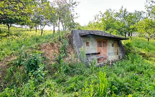 Casa de vanzare Viile Apei - Poză 9