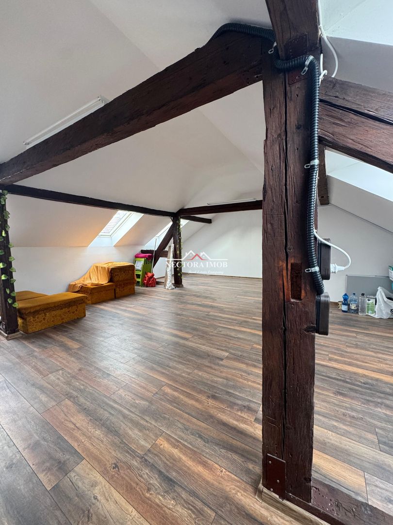 NECTORA IMOB-Spatiu comercial P+M, Ultracentral, Zona Piața Ferdinand - Poză 6