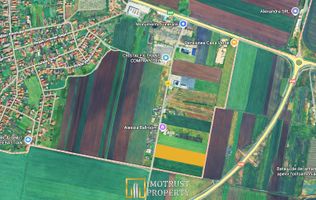 Teren pentru investiție în Vladimirescu, Arad – 20.000 mp