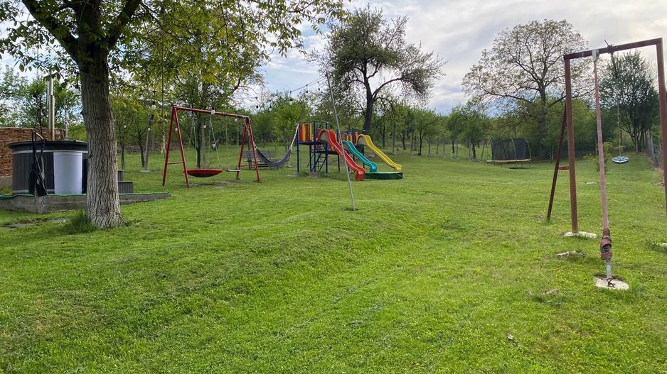 🏠 CASĂ DE VÂNZARE ÎN GLOGOVEȚ, COMUNA VALEA LUNGĂ - Poză 3