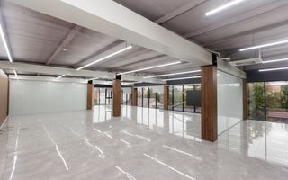 Chirie, spațiu comercial, 262 mp, str. Brincuși, Botanica. - Poză 2