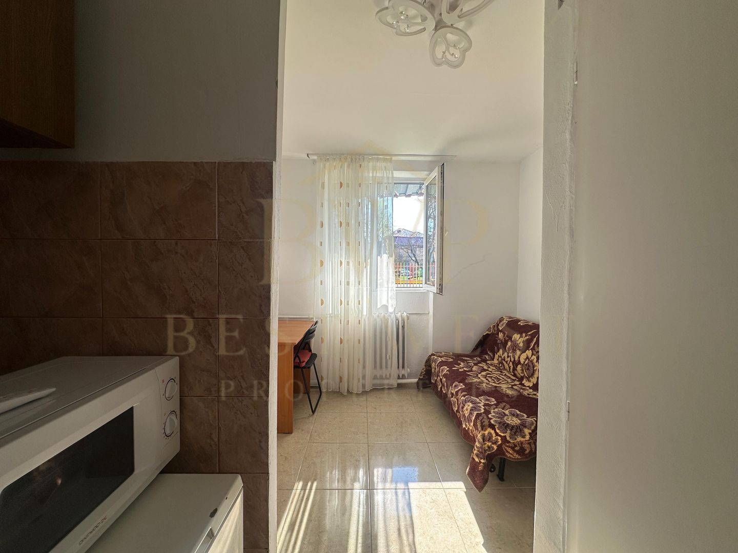 Garsoniera, Take Ionescu - Poză 5