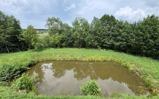 Cabana 5 Camere I 1520 mp teren I Lac de pești I Zona Tocile - Poză 3