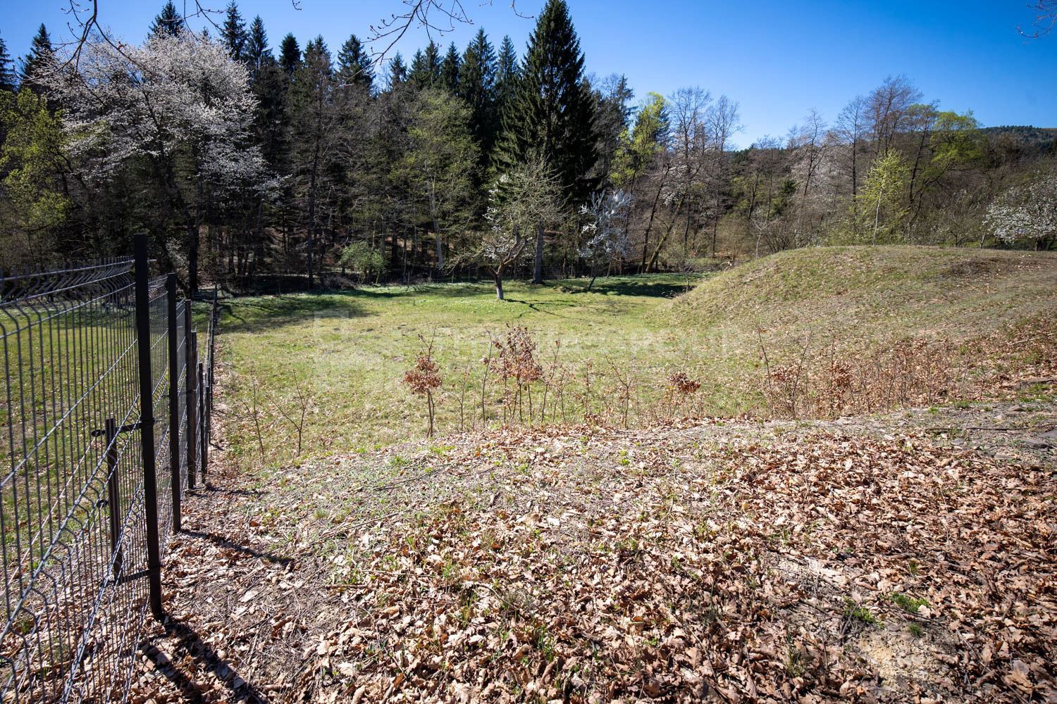 Teren intravilan, pretabil pentru casa de vacanta, 2000 mp - Poză 6