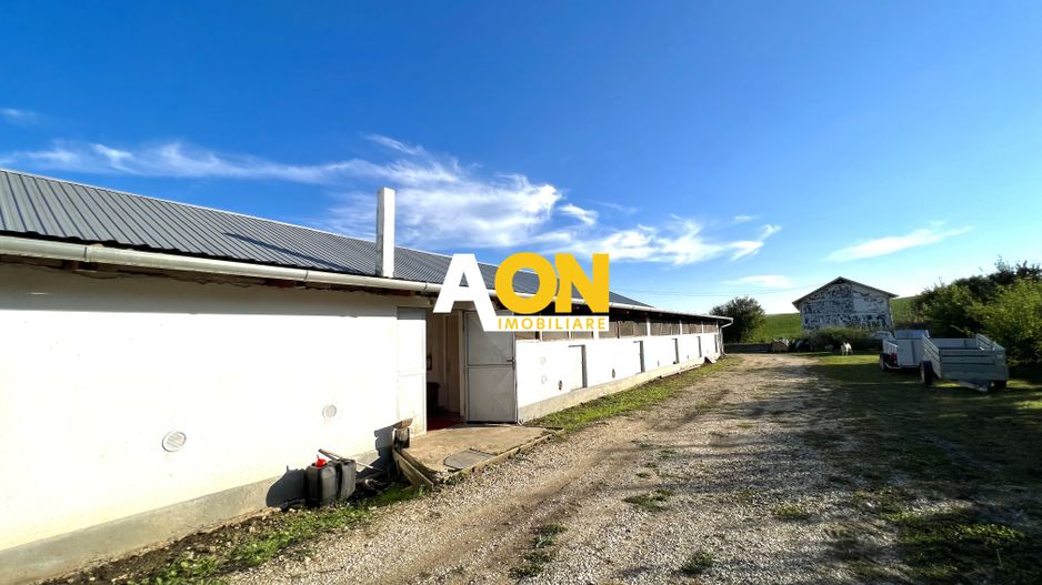 Ferma de vanzare cu 550MP utili si 27.500MP teren la asfalt - Poză 4