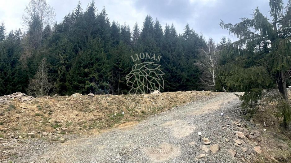 Teren intravilan 3039 mp-Parcelabil-ponton-Colibita Exclusiv - Poză 2