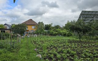 Ansamblu de 2 case  și teren 15 ari, Reghin - Poză 2