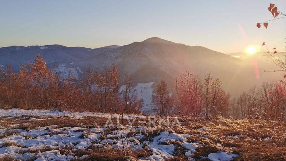 OPORTUNITATE | Teren intravilan | 34.625 mp | Plopi - Valea Ierii - Poză 8