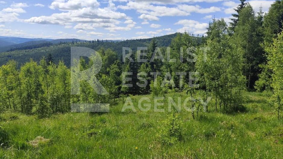 Vânzare, teren, extravilan, Suceava - Poză 2