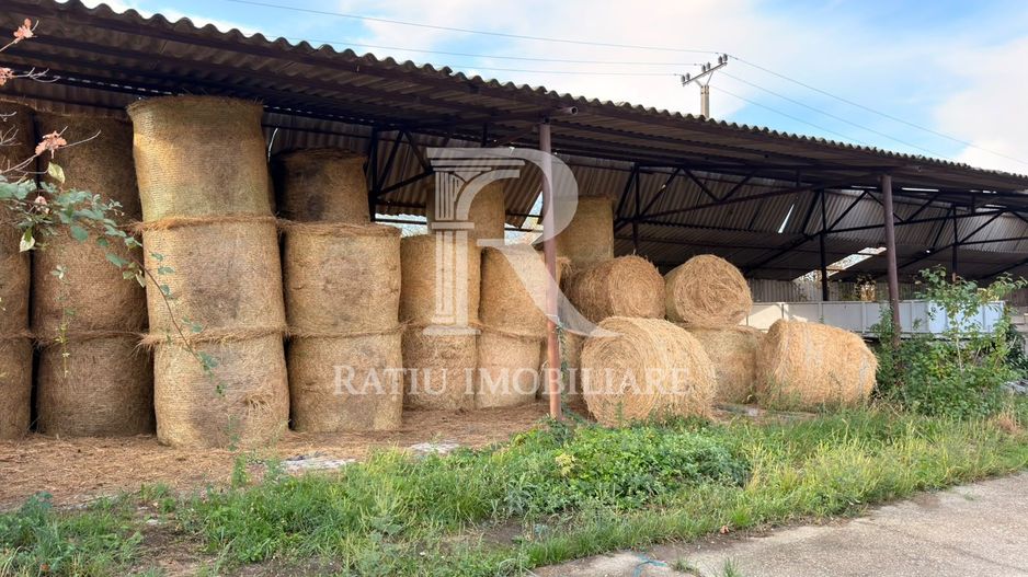 Fermă Sărand | Bihor | 25.659 mp teren intravilan - Poză 15