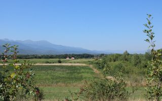 TEREN 4500 MP I PARC FOTOVOLTAIC I ARPASUL DE SUS - Poză 5