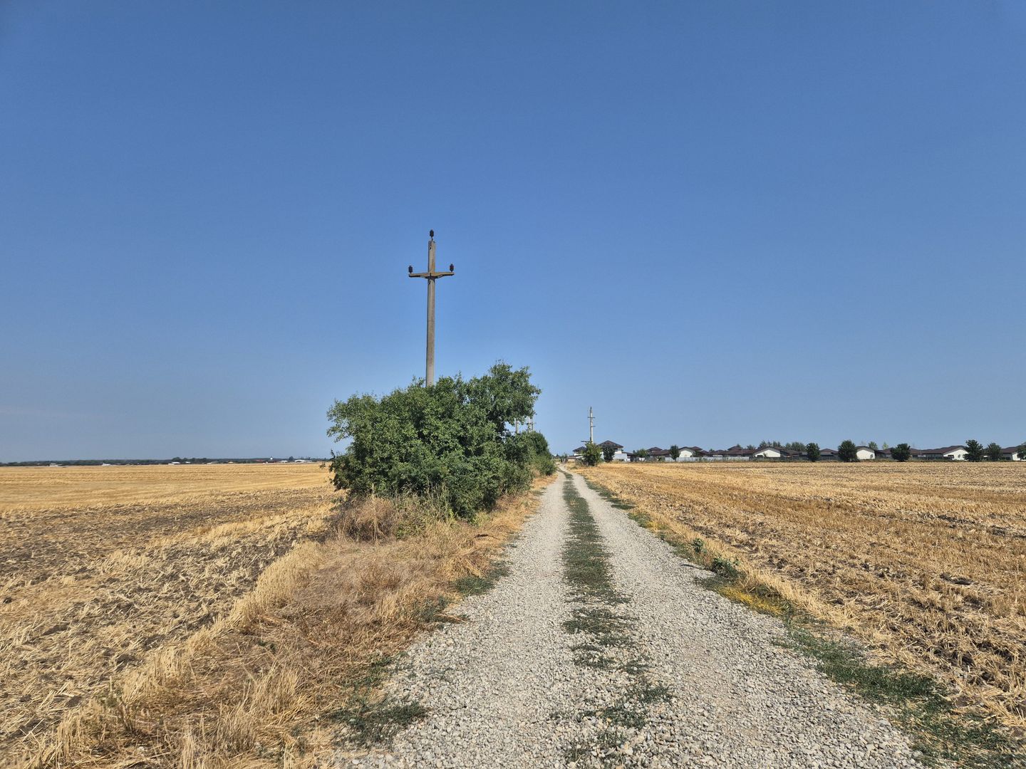 Teren intravilan 4428 mp - Balotesti - Poză 3