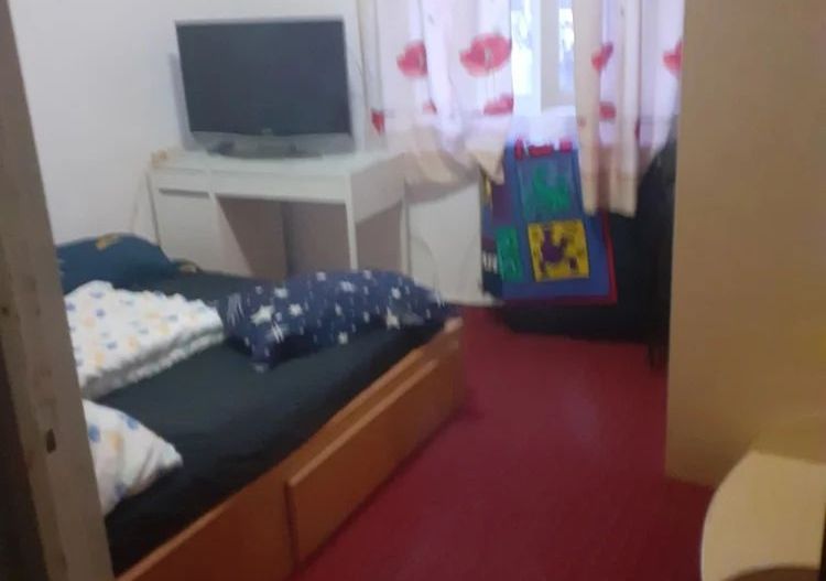 Apartament 2 camere Giurgiului S166 - Poză 3