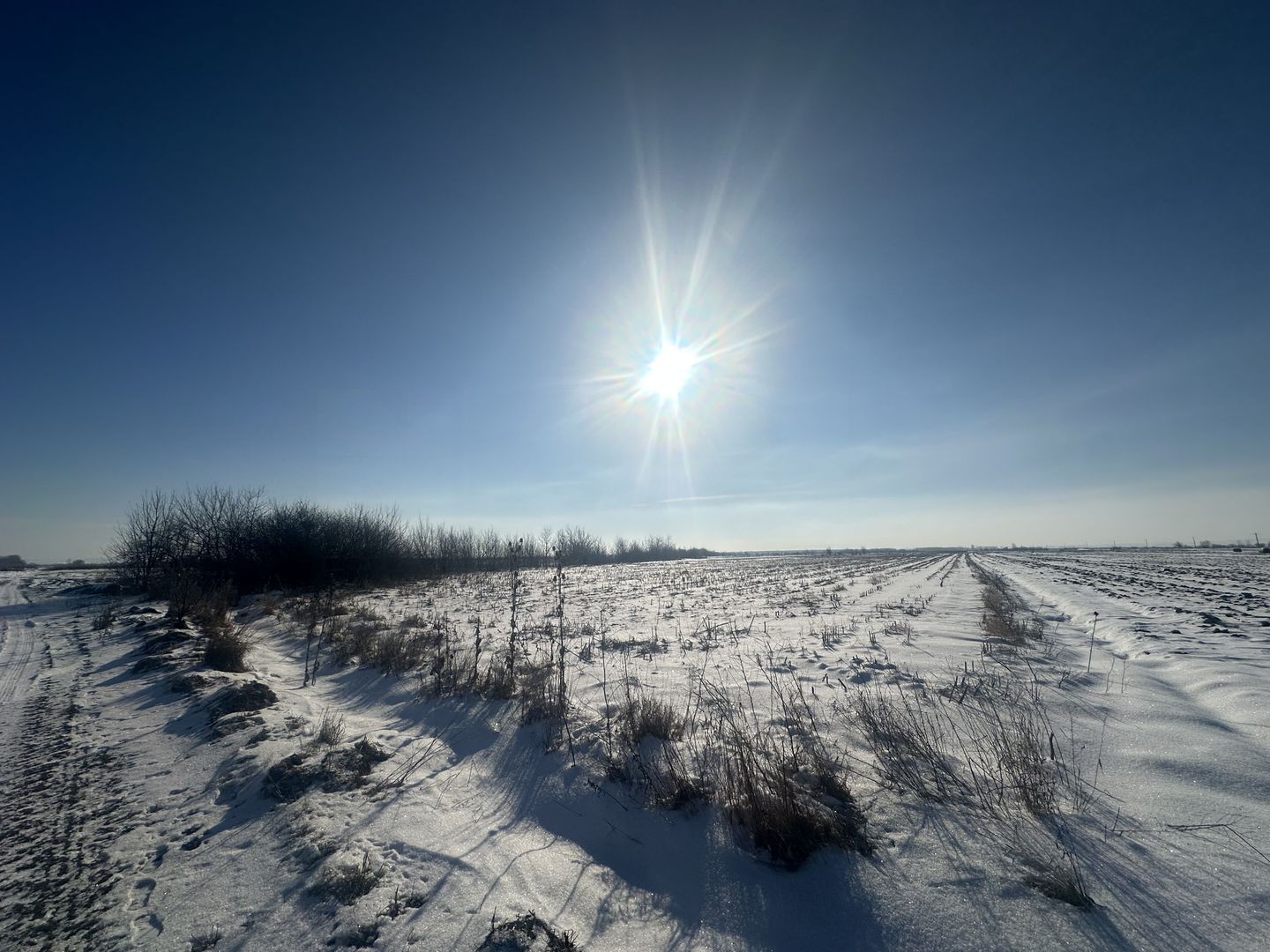 Teren Extravilan | 52 ari | Maneuti | Front 26 m | 55.500 € - Poză 2