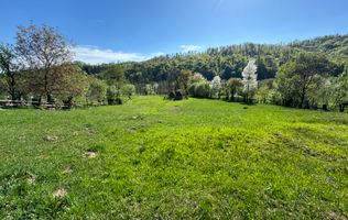 TEREN INTRAVILAN 2592 MP,  ALBESTI DE MUSCEL, ARGES