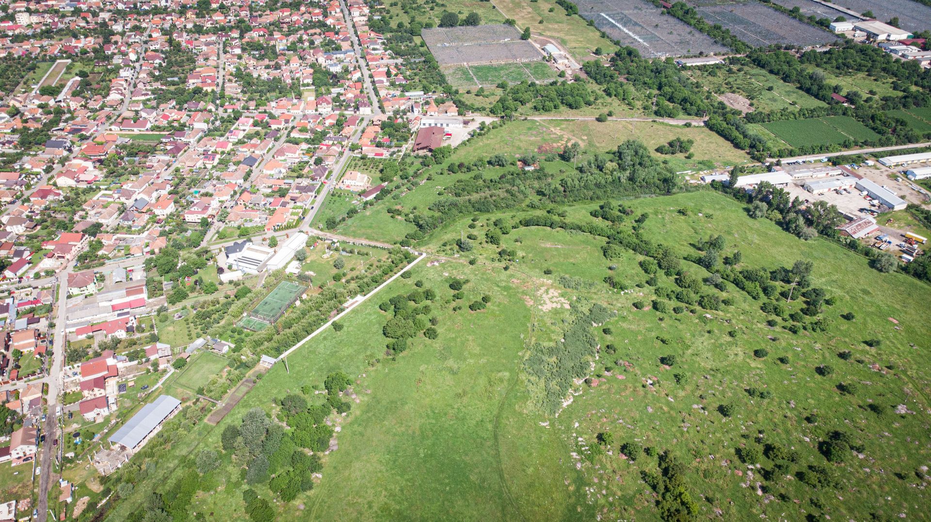 Teren intravilan 20.800 mp, Grădiște - Poză 5