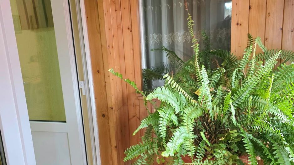 DE VANZARE CASA 5CAMERE ZONA CENTRALA TALMACIU - Poză 25