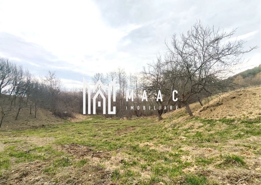 Teren extravilan agricol 1.184 mp | Sibiel | utilități la 100 m - Poză 4