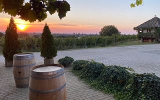 Pivnițele Birăuaș D.O.C Miniș - RATE FĂRĂ DOBÂNDĂ - Poză 48